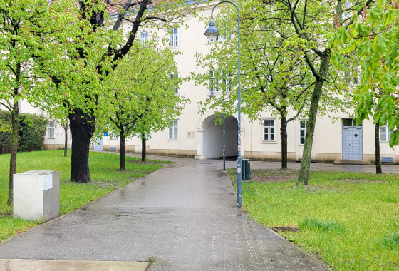 LET´S EXPLORE THE AREA AROUND VOTIV CHURCH AND THE OLD GENERAL HOSPITAL 9